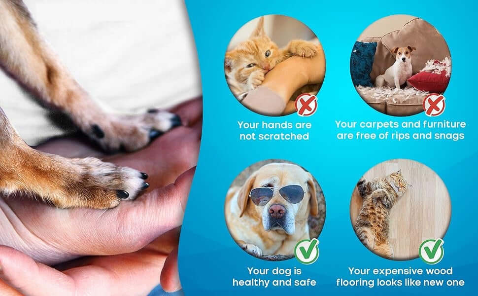 Best nail grinder for dogs and cats keeping pets safe with no scratched hands or damaged furniture