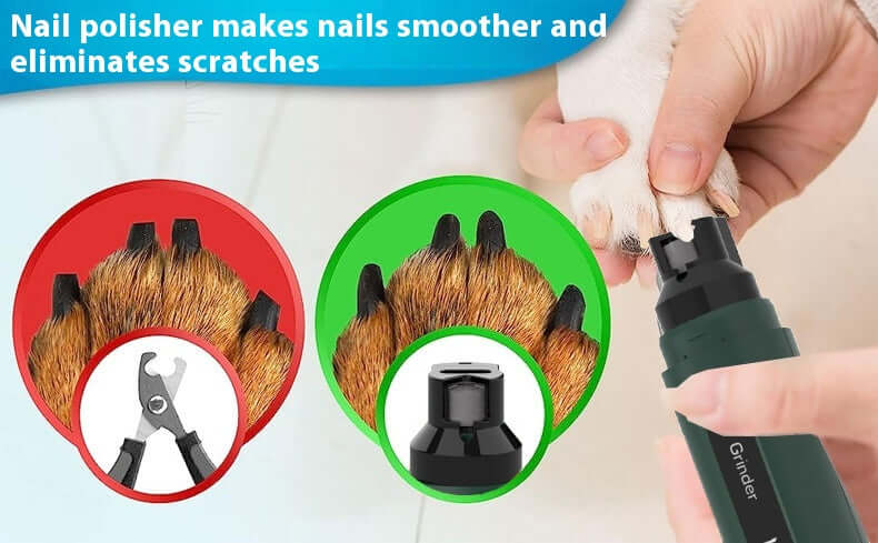 Best nail grinder for dogs and cats smoothing pet nails and eliminating scratches safely
