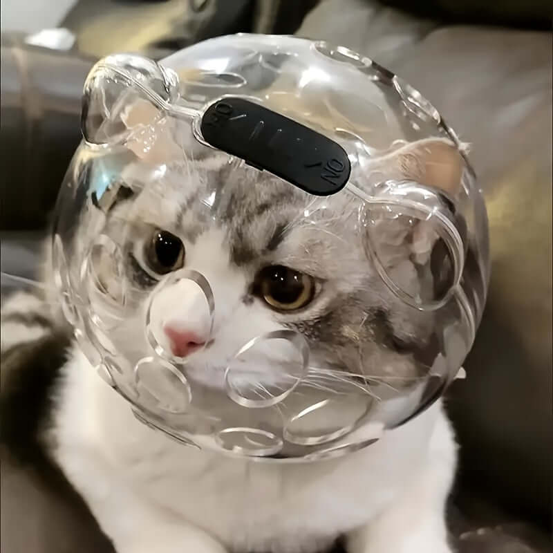 Gray and white cat wearing a clear breathable cat mask with ear openings indoors