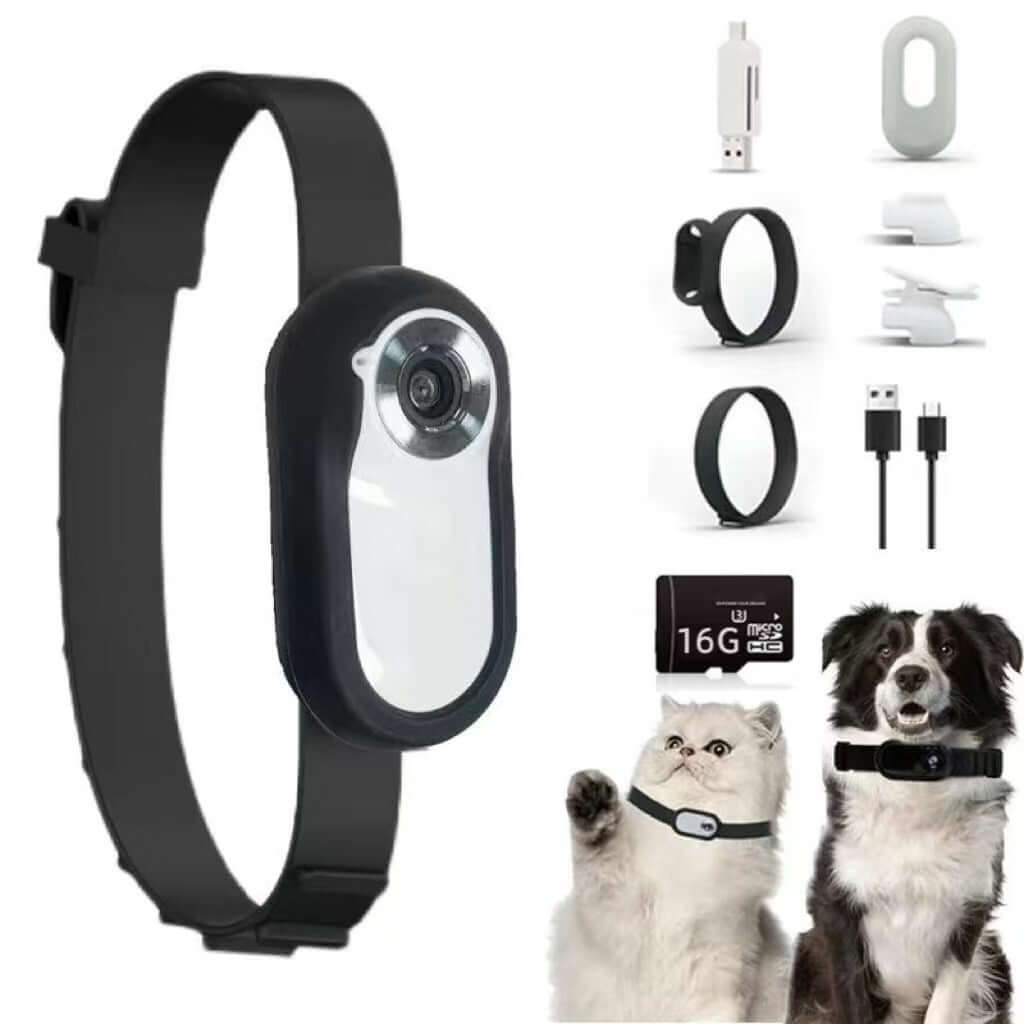 Detailed view of eprolo Compact Pet Action Camera with Adjustable Strap, highlighting features and accessories, perfect for monitoring cats and dogs using this outdoor pet camera.
