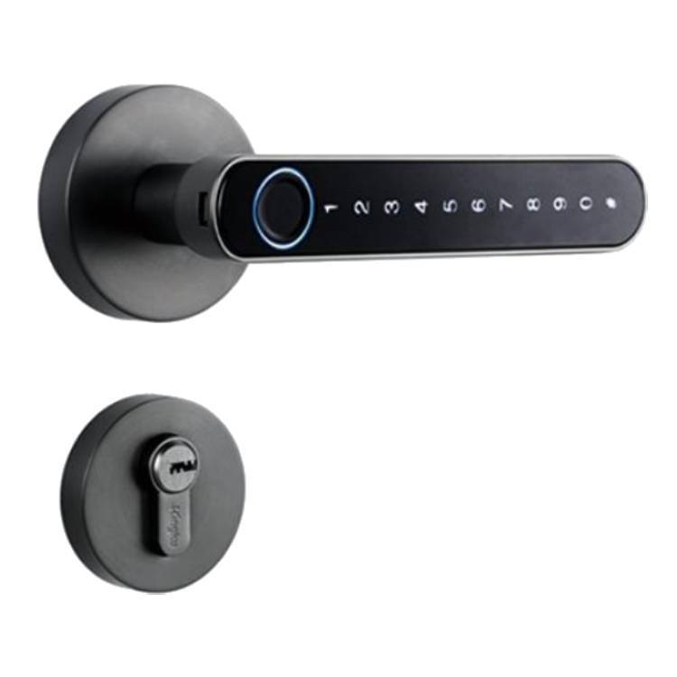 Stylish black Smart Fingerprint Door Lock highlighted with a passcode keypad, showcasing its multifunctional access methods.