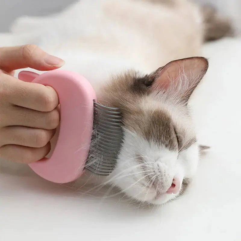 A person using the Cat Grooming & Massage Comb on an adorable cat, revealing how it promotes relaxation during grooming. #cats