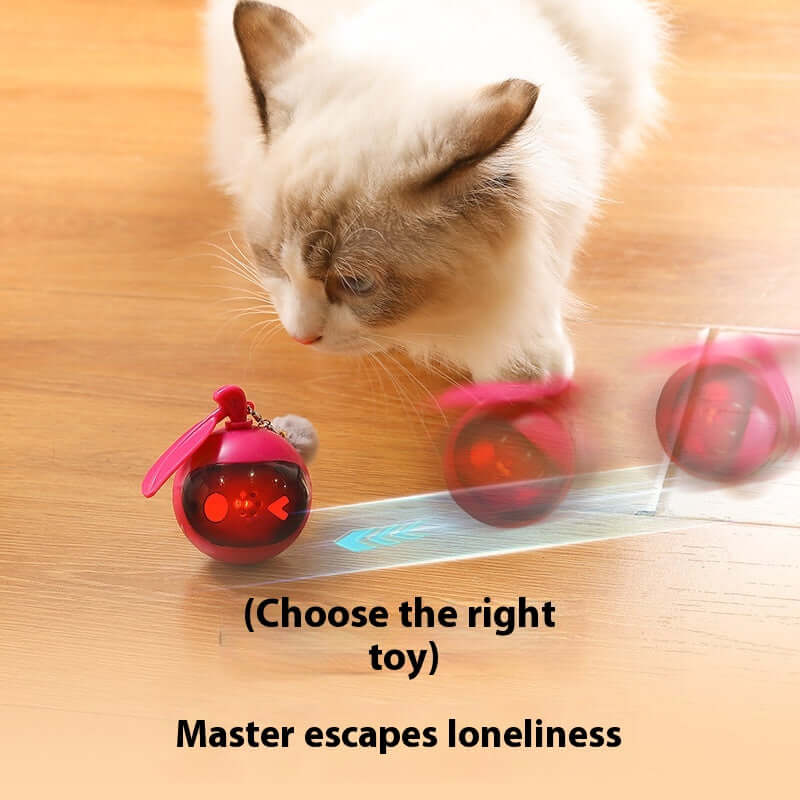 Elastic Self-Hi Relief Cat Toy – Engaging Pet Toys for Cats in Green & Rose Red.