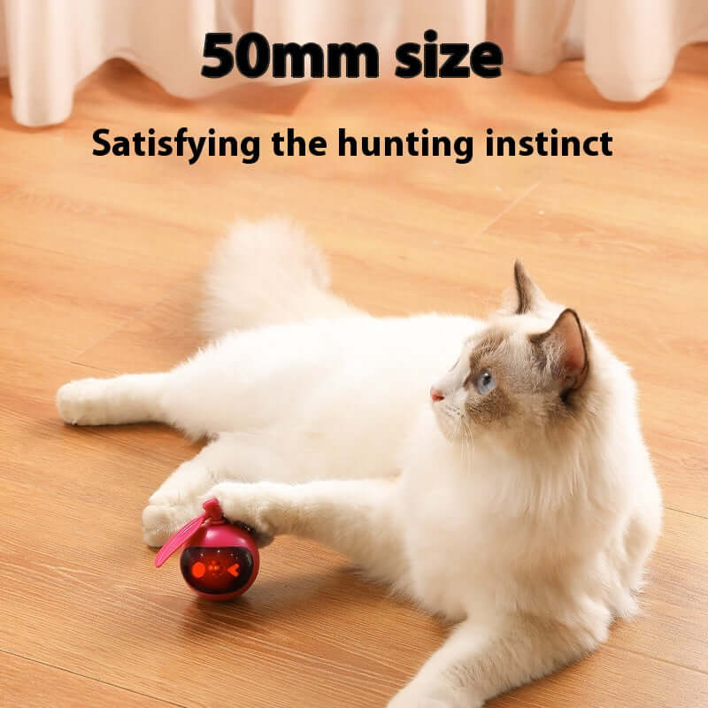 Elastic Self-Hi Relief Cat Toy – Engaging Pet Toys for Cats in Green & Rose Red.