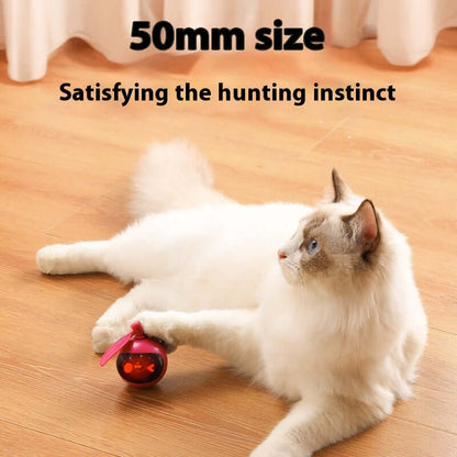 Elastic Self-Hi Relief Cat Toy – Engaging Pet Toys for Cats in Green & Rose Red.