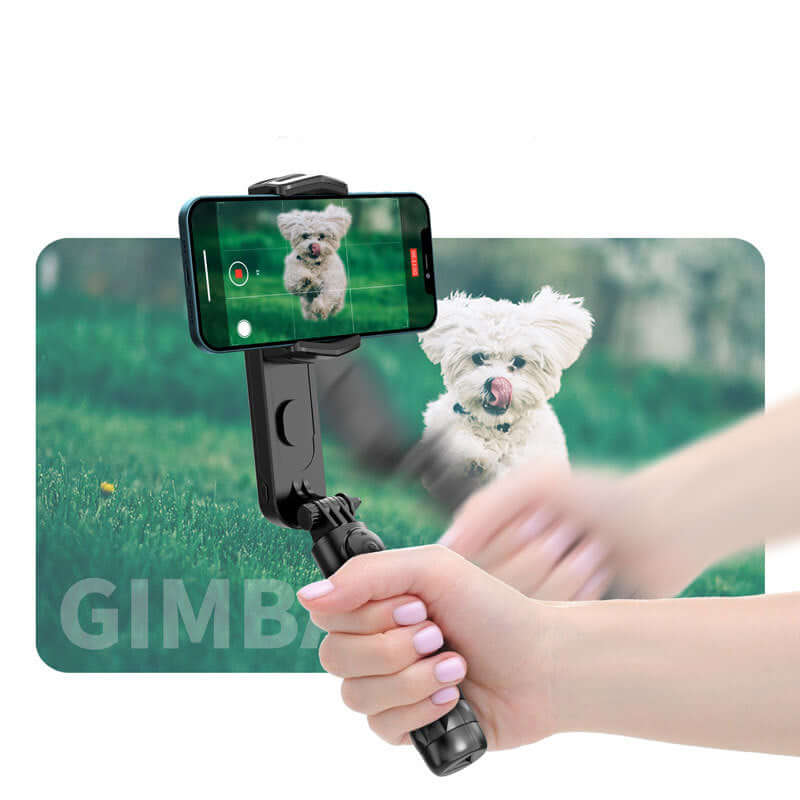 CozyTech Living Bluetooth selfie stick tripod with remote holding phone capturing a small white dog outdoors