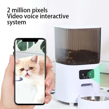 Smart automatic cat feeder with camera showing video voice interactive system and pet monitoring on smartphone