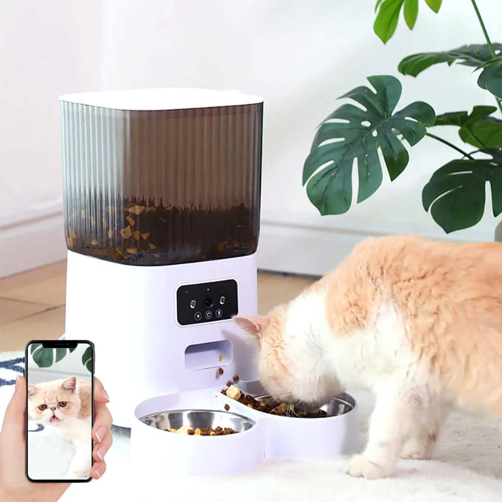 eprolo smart automatic cat feeder with camera dispensing food to an orange and white cat