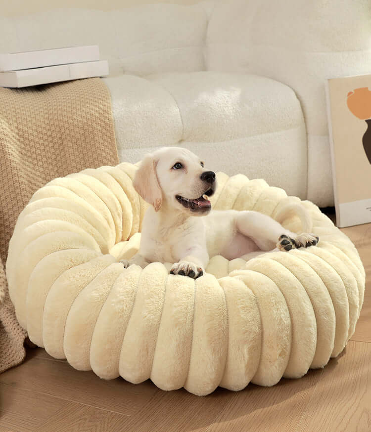 Cream-colored super soft pet sleeping mat with a happy puppy lying comfortably indoors