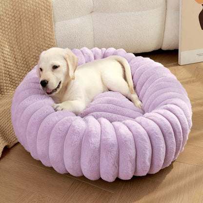 Cute puppy resting on a lavender super soft pet sleeping mat in a cozy living room