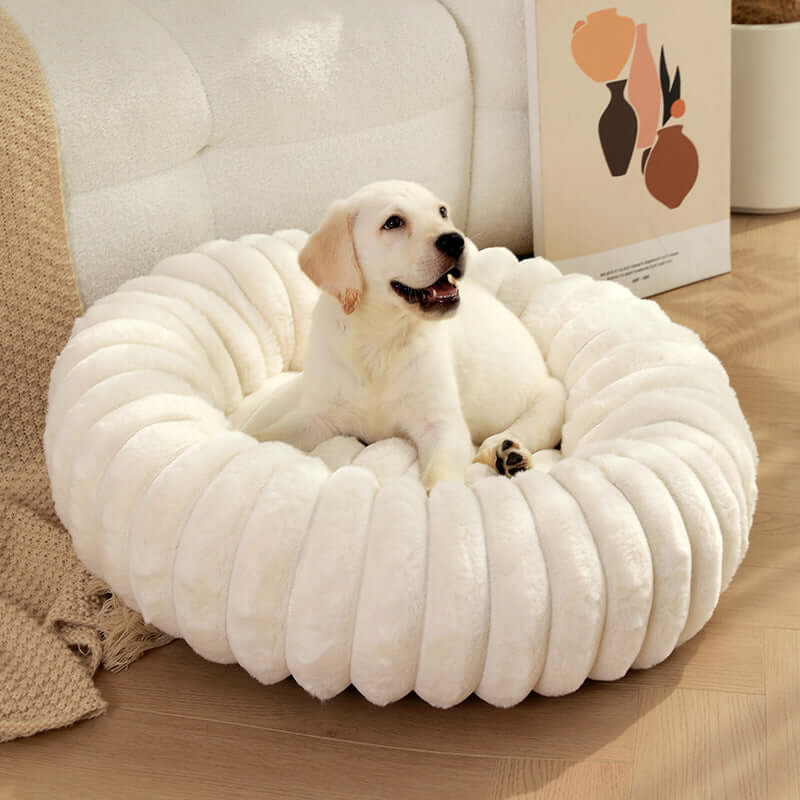 White dog resting comfortably on a super soft pet sleeping mat in a cozy living room