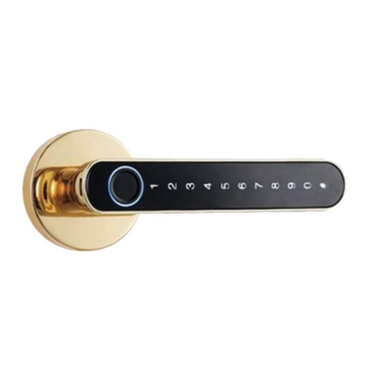 Chic gold Smart Fingerprint Door Lock demonstrating a blend of sophistication and high-tech security features.