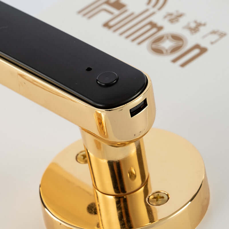 Detailed view of a gold Smart Fingerprint Door Lock showing the innovative design and integrated features for enhanced safety.
